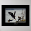 Suche nach kahl poster Vögel