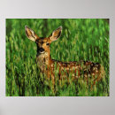 Suche nach wild lebende tiere kunst Digital