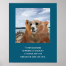 Suche nach niedliche kinder poster Braunbär