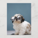 Suche nach brillen postkarten Hunde
