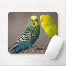 Suche nach papageien mousepads Für alle