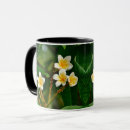 Suche nach frangipani tassen Jede person