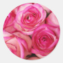 Suche nach feuer und eis aufkleber Rosa