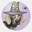 Suche nach weimaraner hund aufkleber Niedlich