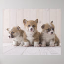 Suche nach waliser kunst Tiere
