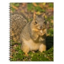 Suche nach rhododendron kleine notizbücher Braun