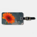 Suche nach orange gerbera accessoires Blume