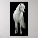 Suche nach wilde pony poster Reiter