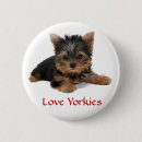 Suche nach yorkies buttons Liebe