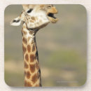 Suche nach südafrika untersetzer Giraffe