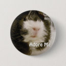 Suche nach niedliches schwein buttons Haustiere