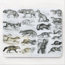 Suche nach fleisch fressendes tier mousepads Wild