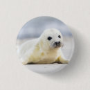 Suche nach flaumig buttons Natur
