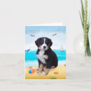 Suche nach berner sennenhund karten Jede person