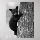 Suche nach schwarze kinder poster Junge