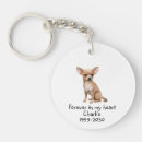 Suche nach haustier beileid schlüsselanhänger Tod