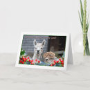 Suche nach alpaca karten Ferien