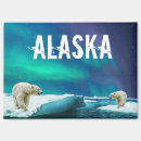 Suche nach eisbär magnete Alaska