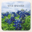 Suche nach bluebonnets untersetzer Lupine