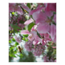 Suche nach der große apfel poster Blume