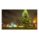 Suche nach fichte poster Baum