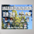 Suche nach kiefernwälder poster Grün