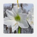 Suche nach amaryllis ornamente Weiß