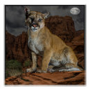 Suche nach cougar poster Tiere