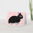 Suche nach netherlands karten Kaninchen