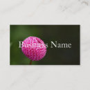 Suche nach dahlien visitenkarten Blume