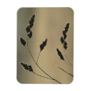 Suche nach tau magnete Wasser