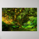 Suche nach acer poster Japanischer ahorn