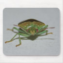 Suche nach wanzen mousepads Natur