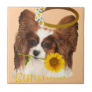 Suche nach papillon fliesen Hunde