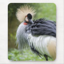 Suche nach gekrönt mousepads Natur