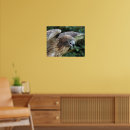 Suche nach hawk poster Raptor