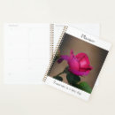 Suche nach tiefrosa rose Jede person