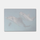 Suche nach delphin post it Natur