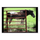 Suche nach nick postkarten Western