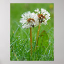 Suche nach zusammen für immer poster Paar