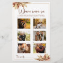 Suche nach foto fall Pampasgras