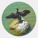 Suche nach schwarzer schwan aufkleber Jede person
