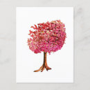 Suche nach kirschbaum postkarten Frühlingsblüte