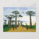 Suche nach allee postkarten Allee der baobabs