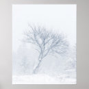 Suche nach schneesturm poster Weiß