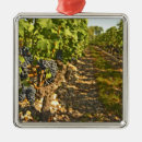 Suche nach bordeaux ornamente Wein