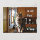 Suche nach beans postkarten Spaß