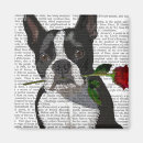 Suche nach boston magnete Niedliche bostoner terrier
