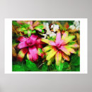 Suche nach bromeliad poster Tropische pflanze