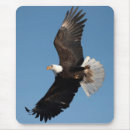 Suche nach im flug mousepads Raptor